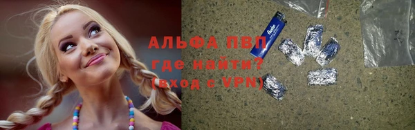 мет Алексин