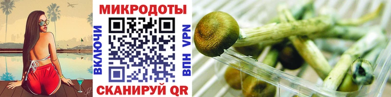 Галлюциногенные грибы GOLDEN TEACHER  kraken как зайти  Щигры  наркошоп 